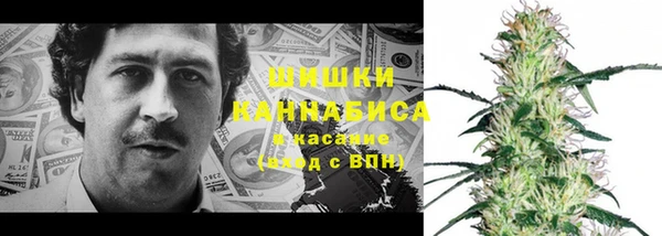 гашик Бронницы