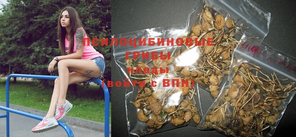 гашик Бронницы