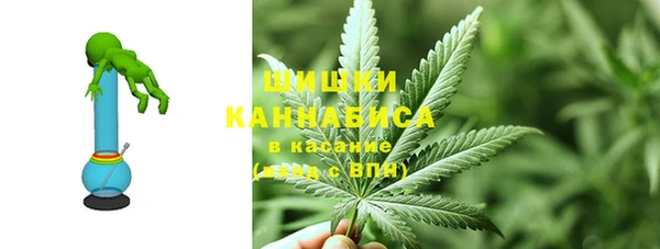 PSILOCYBIN Бугульма