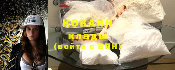 гашик Бронницы