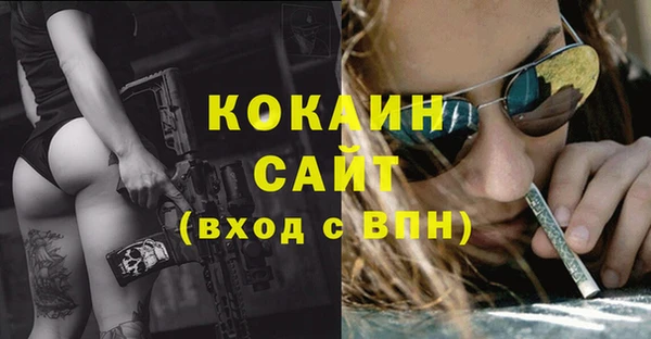 гашик Бронницы